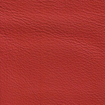 1137 - scarletrot/can can