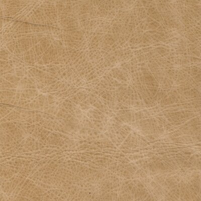 Canyon 3845 sand