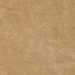 Canyon 3845 sand