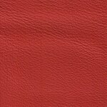 1137 - scarletrot/can can