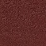 1146 - akzentrot
