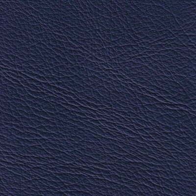 1398 - jazzblue