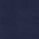 1398 - jazzblue