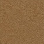 beige 3427